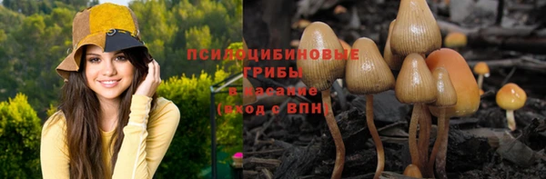 наркотики Горно-Алтайск