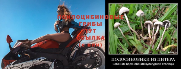 мяу мяу мука Горнозаводск